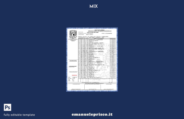 stile verificato Modello Secretaria General dell'Universidad Nacional Autonoma d